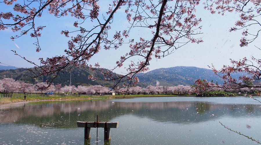 🌸 호조 큰 연못(호조 오이케) 이미지 6